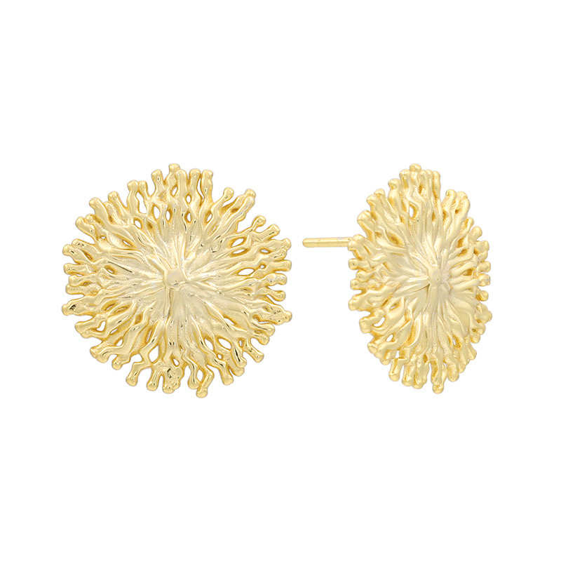 Chrysanthemum specimen